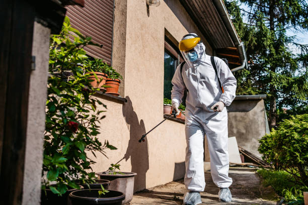 Best Local Pest Control Services  in Forest City, PA