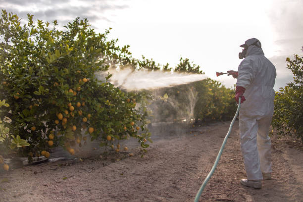 Pest Control Cost in Forest City, PA