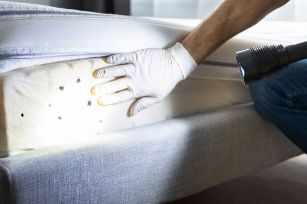 Best Best Pest Control Companies  in Forest City, PA