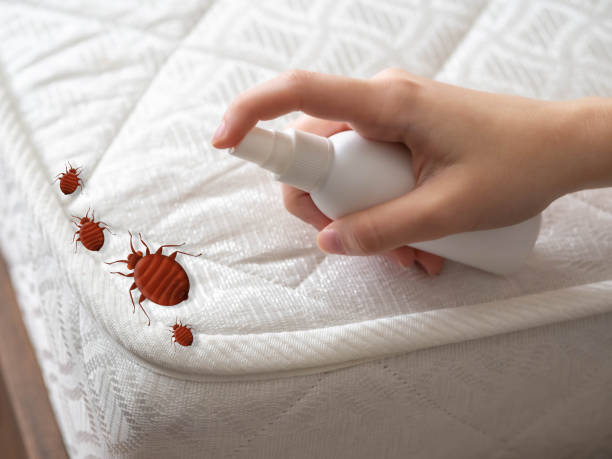 Best Termite Control Services  in Forest City, PA