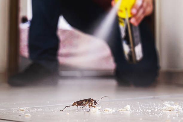 Pest Control Cost in Forest City, PA